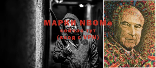 гашик Алзамай