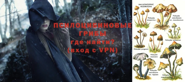 меф Алексин