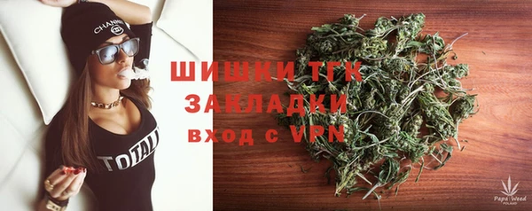 гашик Алзамай
