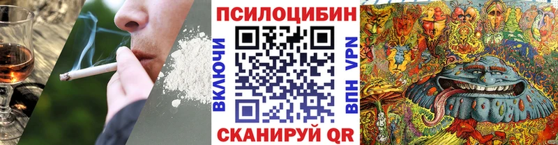 Псилоцибиновые грибы Cubensis  Протвино 