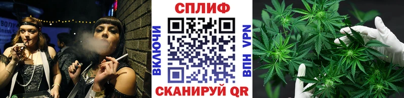 Канабис тримм  дарк нет формула  Протвино 